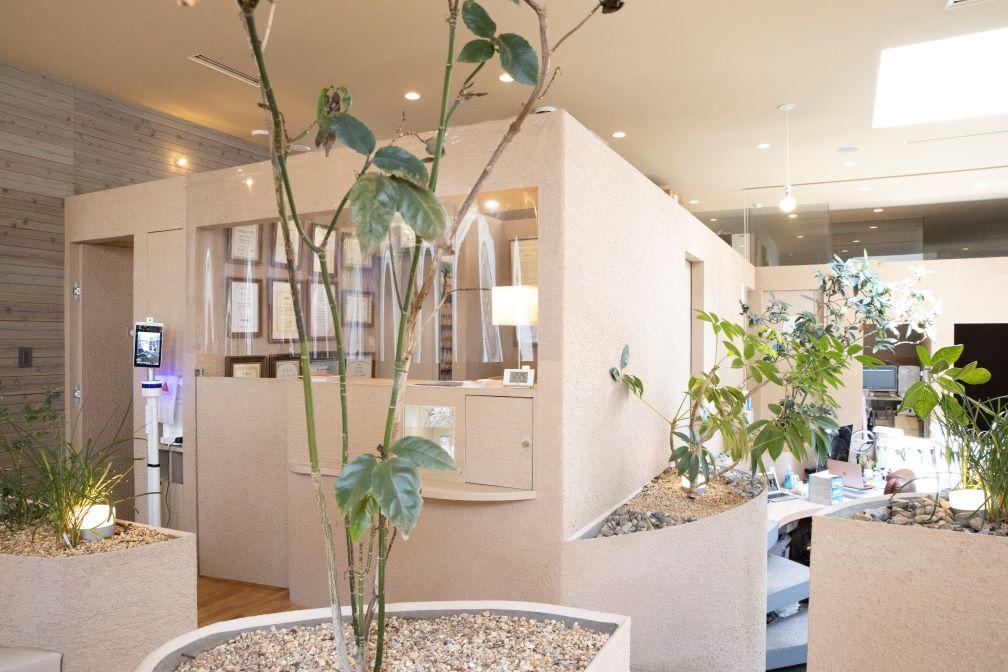 ホワイトエッセンス　松山の写真