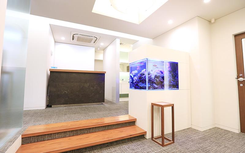 ホワイトエッセンス　板橋本町駅の写真